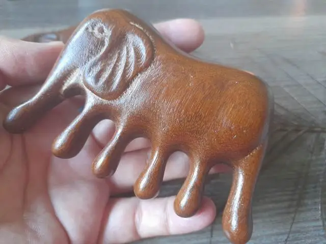 Grzebień Słonia – Twój Klucz do Harmonii