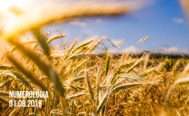 numerologia01082019.webp