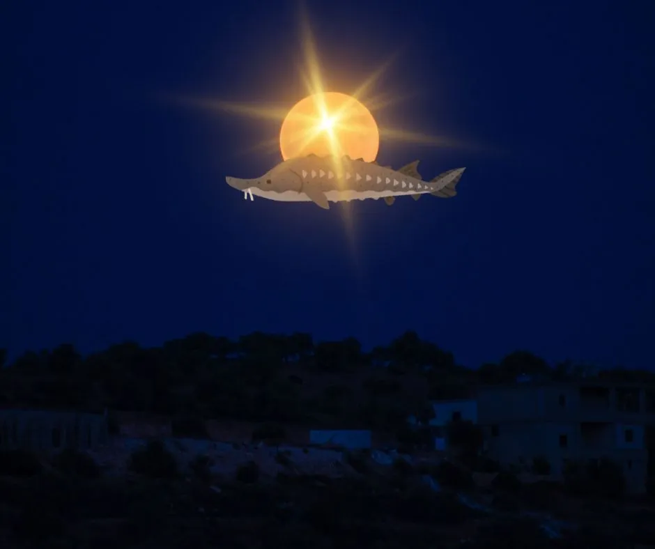 Pełnia Księżyca Jesiotrów 19 sierpnia 2024