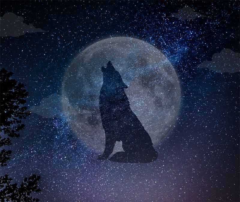 Pełnia Wilczego Księżyca 25 stycznia 2024 r.