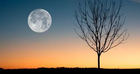 Pełnia robaczego księżyca