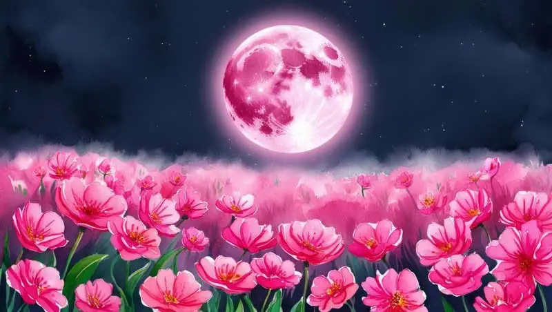 Pełnia Różowego Księżyca 13 kwietnia 2025