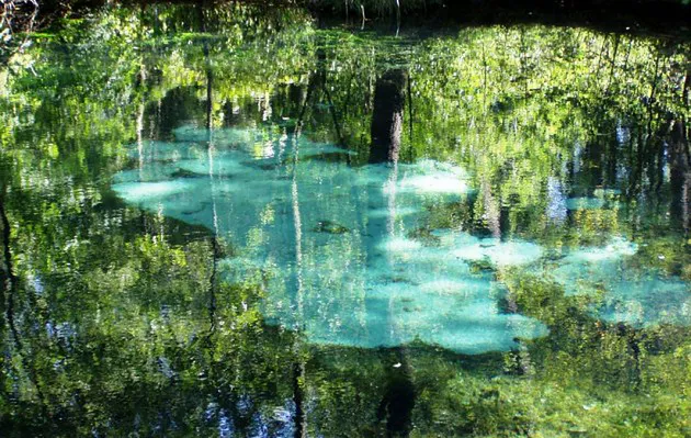 Tajemnice urody rezerwatu Niebieskie Źródła